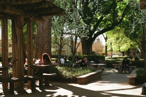 POWERING OUTDOOR LEARNING